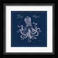 Underwater Life X Framed Print