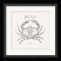 Underwater Life IV Framed Print