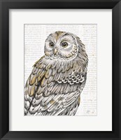 Beautiful Owls III Fine Art Print