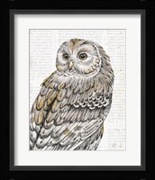 Beautiful Owls III Fine Art Print