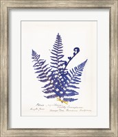 Botanical Fern IV Blue Light Fine Art Print