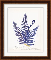 Botanical Fern IV Blue Light Fine Art Print