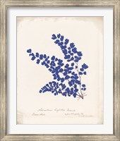 Botanical Fern III Blue Aged Fine Art Print