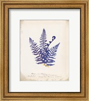 Botanical Fern IV Blue Fine Art Print