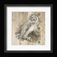 Natural History Lodge I Framed Print