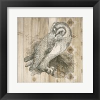 Natural History Lodge I Fine Art Print