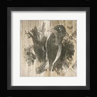 Natural History Lodge VI Framed Print