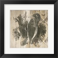 Natural History Lodge VI Fine Art Print