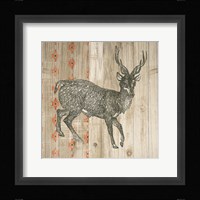 Natural History Lodge Southwest III Framed Print