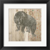 Natural History Lodge Southwest IV Framed Print