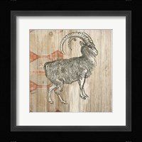 Natural History Lodge Southwest VII Framed Print