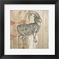 Natural History Lodge Southwest VII Framed Print