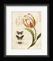 Mothers Treasure V Framed Print