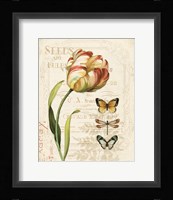 Mothers Treasure IV Framed Print