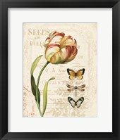 Mothers Treasure IV Framed Print