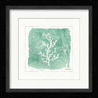 Water Coral IV Framed Print