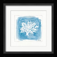Water Coral VI Framed Print