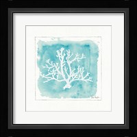 Water Coral V Framed Print