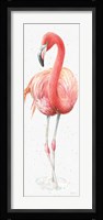 Gracefully Pink VI Framed Print