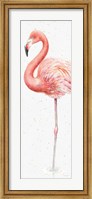 Gracefully Pink VII Fine Art Print