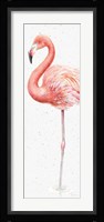 Gracefully Pink VII Framed Print