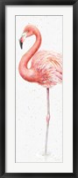 Gracefully Pink VII Fine Art Print