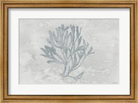 Water Coral III Fine Art Print