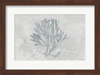 Water Coral III Fine Art Print