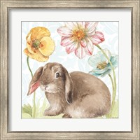 Spring Softies Bunnies III Fine Art Print