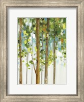 Forest Study I SPC Fine Art Print
