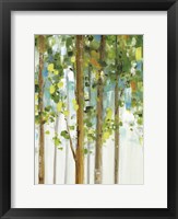 Forest Study I SPC Framed Print