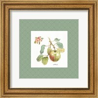 Orchard Bloom I Border Fine Art Print