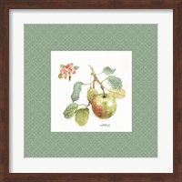 Orchard Bloom I Border Fine Art Print