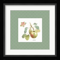 Orchard Bloom I Border Framed Print