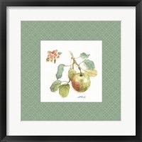 Orchard Bloom I Border Framed Print