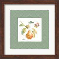 Orchard Bloom II Border Fine Art Print