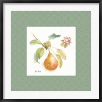 Orchard Bloom II Border Fine Art Print