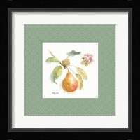 Orchard Bloom II Border Framed Print