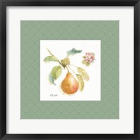 Orchard Bloom II Border Framed Print