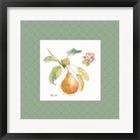 Orchard Bloom II Border Framed Print