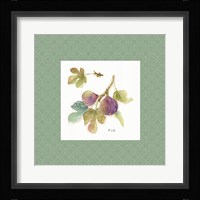 Orchard Bloom III Border Framed Print