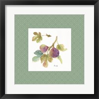 Orchard Bloom III Border Framed Print