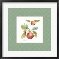Orchard Bloom IV Border Fine Art Print