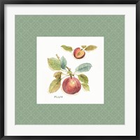 Orchard Bloom IV Border Fine Art Print