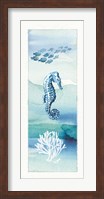 Sea Life VII Fine Art Print