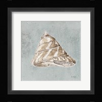 Sand and Seashells IV Framed Print