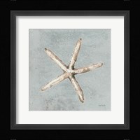 Sand and Seashells III Framed Print