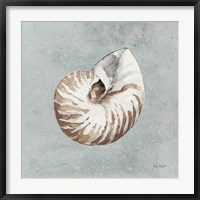 Sand and Seashells I Fine Art Print