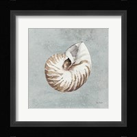 Sand and Seashells I Framed Print