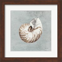 Sand and Seashells I Fine Art Print